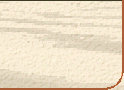 home money making business opportunity, money making opportunity, 
	making money online